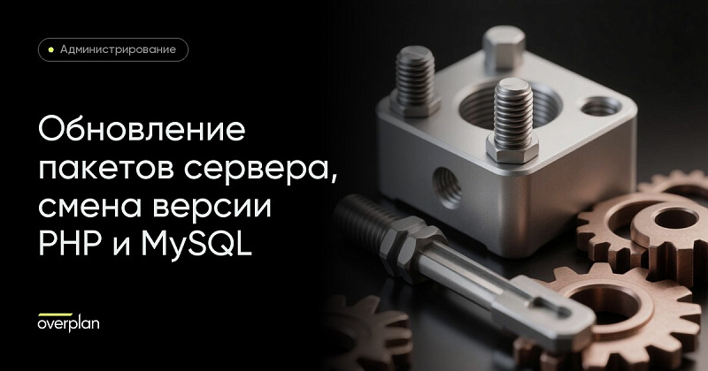 Обновление BitrixVM: пакеты сервера, версия PHP и база данных
